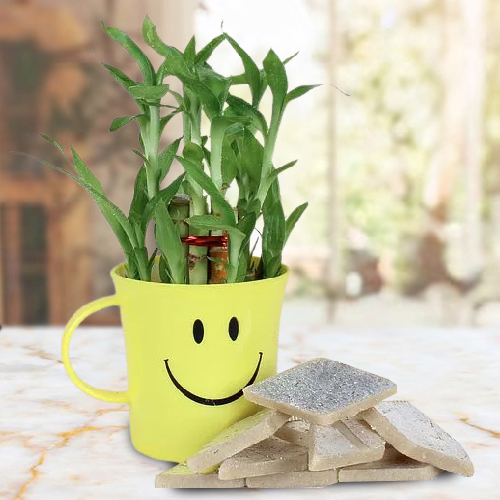 Deliver Kaju Katli with Lucky Bamboo Plant in a Smiley Container