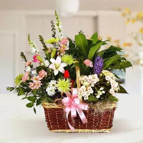 Get Assorted Flowers in a Basket