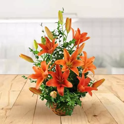 Shop Orange Lilies in Basket