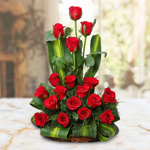 Shop Red Roses in a Basket Arrangement 