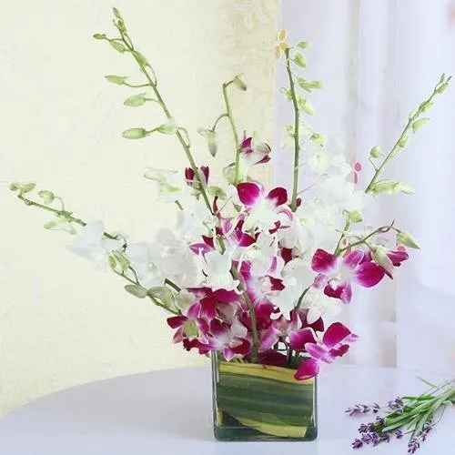 Sending Lovely Orchids in Vase Arrangement for Mom 