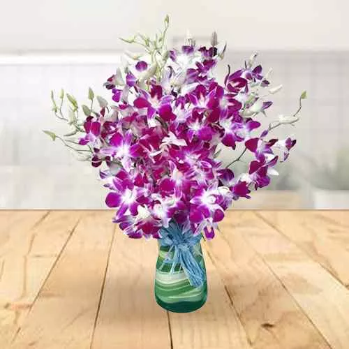 Send Assorted Orchids in Vase 