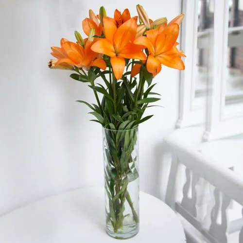 Lively Lilies in Vase
