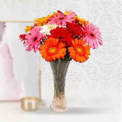 Send Assorted Gerberas with Free Vase