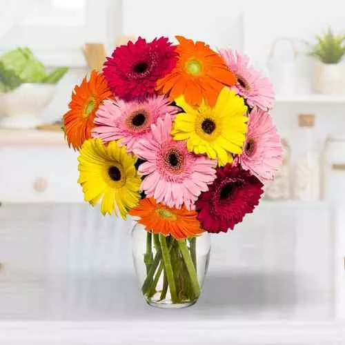 A Glass Vase full of MIxed Gerberas