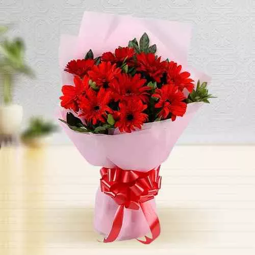 Deliver Bunch ofGerberas in Red 