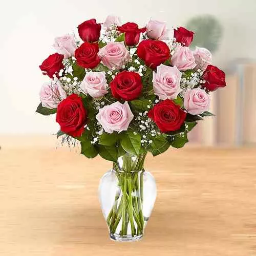 Sending Bouquet of Pink and Red Roses