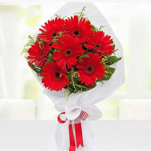 Sending Red Gerberas Bouquet in Tissue Wrap