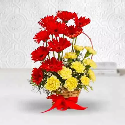 Send Vibrant Basket Arrangement of Yellow Color Carnations with Red Color Gerberas