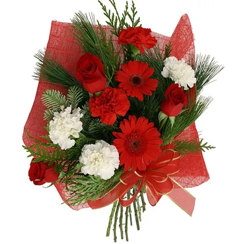 Send Hand Bunch of Red Roses, Red Gerberas with Red and White Carnations