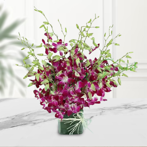 Shop Elegant Collection of Orchids in a Glass Vase
