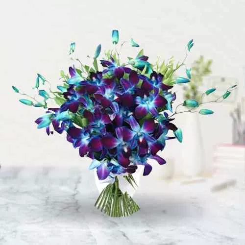 Send for Impressive Blue Orchids Bouquet