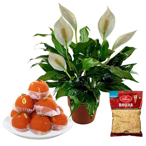 Good Luck Air Purifying Peace Lily Plant with Sweet n Snacks Fiesta
