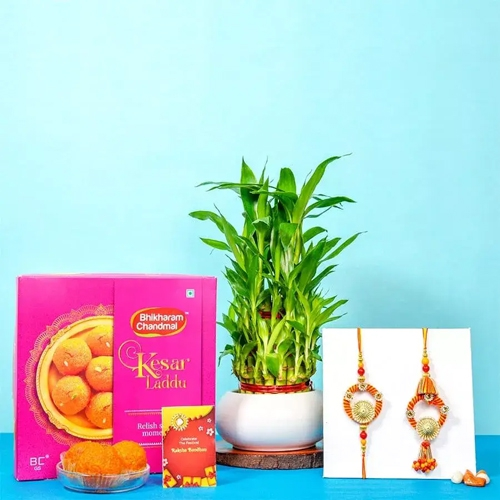 Lucky Bamboo Laddoo N Zardosi Couple Rakhi