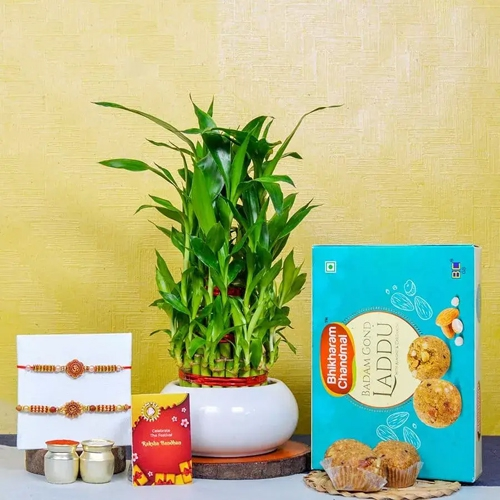 Lucky Bamboo n Laddu for Om Rakhis